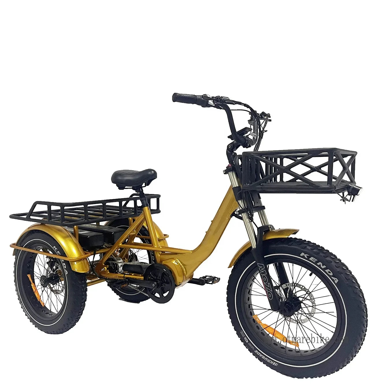 48v 1000w 20*4.0 Fat Tire Mid Drive Camping Electric Cargo Bike 3 Wheel Electric Bike E Bike