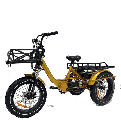 48v 1000w 20*4.0 Fat Tire Mid Drive Camping Electric Cargo Bike 3 Wheel Electric Bike E Bike