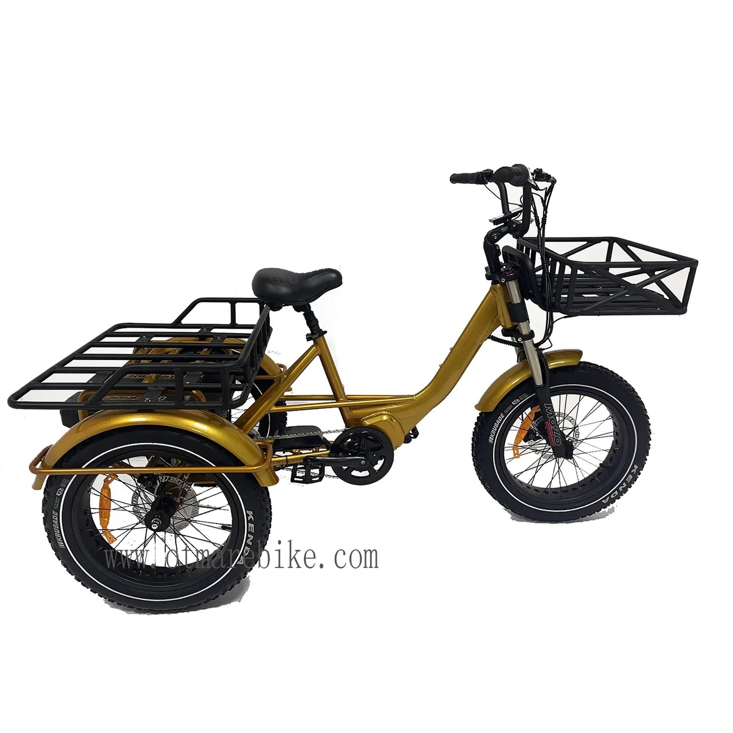 48v 1000w 20*4.0 Fat Tire Mid Drive Camping Electric Cargo Bike 3 Wheel Electric Bike E Bike